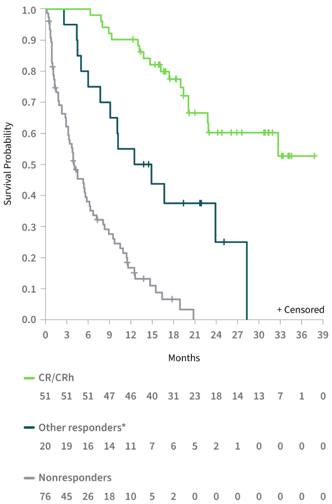 Graph showing that the median overall survival was not reached for patients achieving CR/CRh